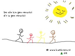 v019verschil