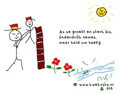 v049sterk
